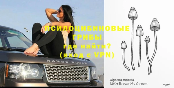 прущая мука Краснотурьинск