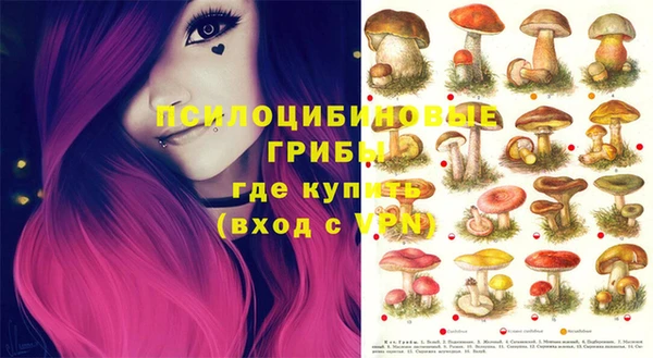 синтетический гашиш Краснослободск